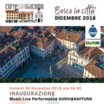 ITALPOL E DOMEST CORTE SAN GIACOMO UDINE